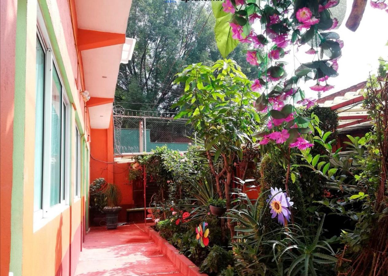 Apartament Hermoso Depa De 3 Recamaras Y 2 Banos En El Centro De Coyoacan Meksyk Zewnętrze zdjęcie
