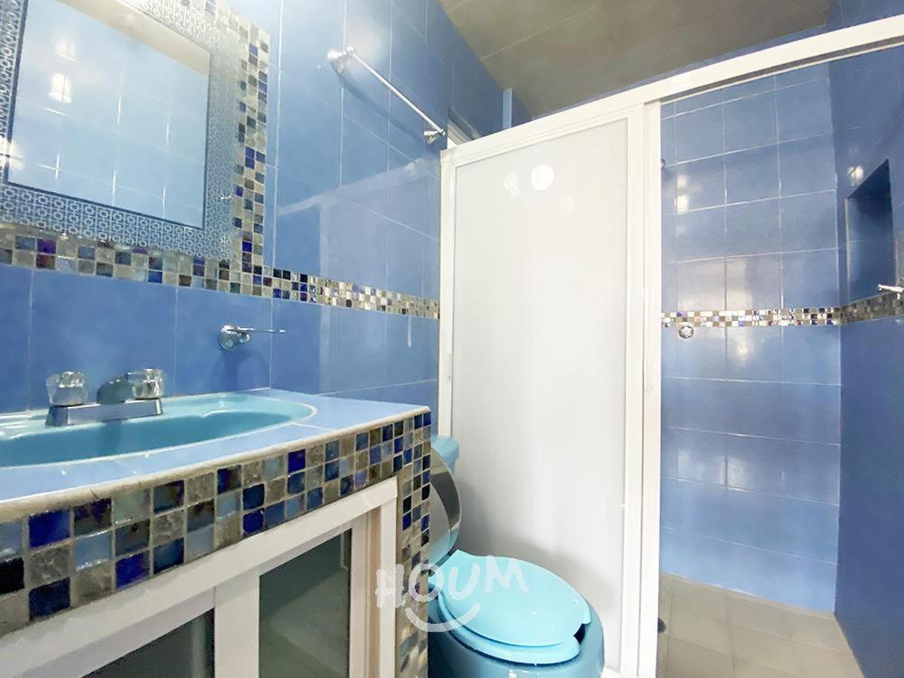 Apartament Hermoso Depa De 3 Recamaras Y 2 Banos En El Centro De Coyoacan Meksyk Zewnętrze zdjęcie