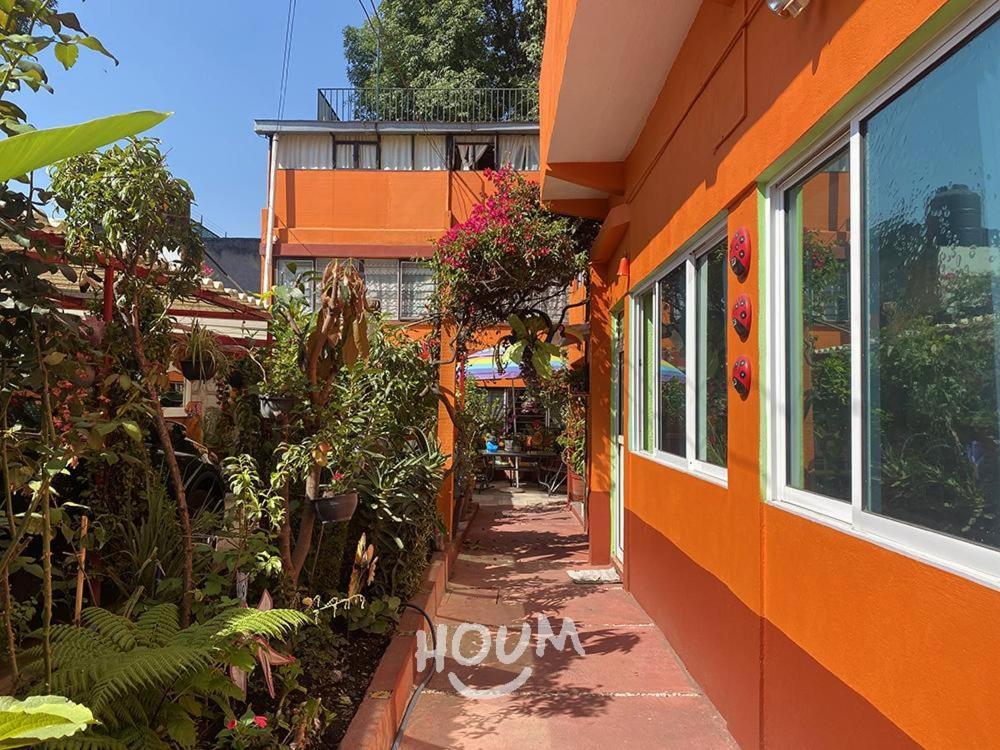 Apartament Hermoso Depa De 3 Recamaras Y 2 Banos En El Centro De Coyoacan Meksyk Zewnętrze zdjęcie