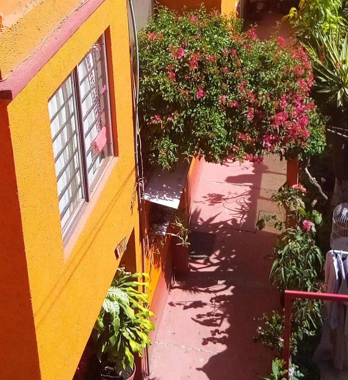 Apartament Hermoso Depa De 3 Recamaras Y 2 Banos En El Centro De Coyoacan Meksyk Zewnętrze zdjęcie